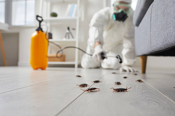 Commercial Kitchen Cockroach Control in Watertown